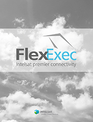 flex-exec-tipsheet-thumbnail.jpg